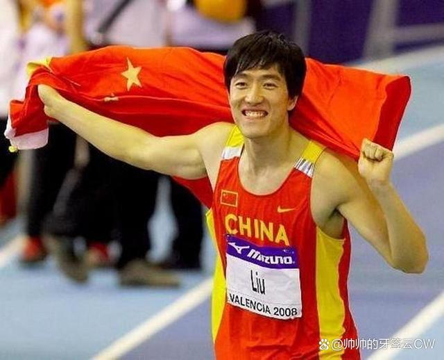 体育明星大放异彩，勇攀巅峰的简单介绍